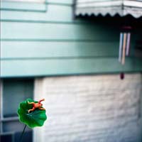 gal/Untitled (Project)/_thb_028.jpg